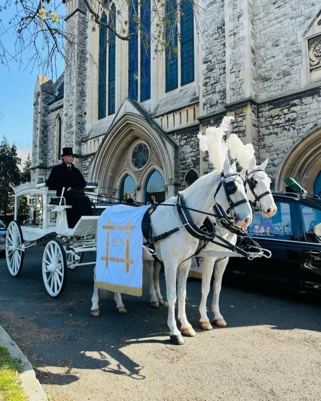 2 beautiful boys waiting patiently, as always. Such a privilege to work with such lovely horses ❤️❤️ #funeralhorses #horseandcarriage